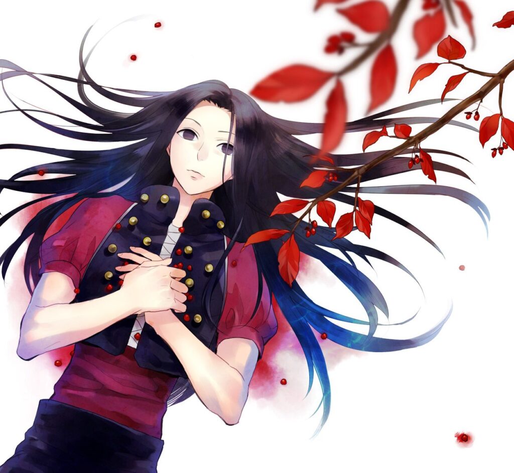 Illumi Zoldyck