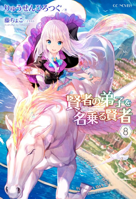 She Professed Herself Pupil of The Wise Man manga series, light novel series in comparison to the anime