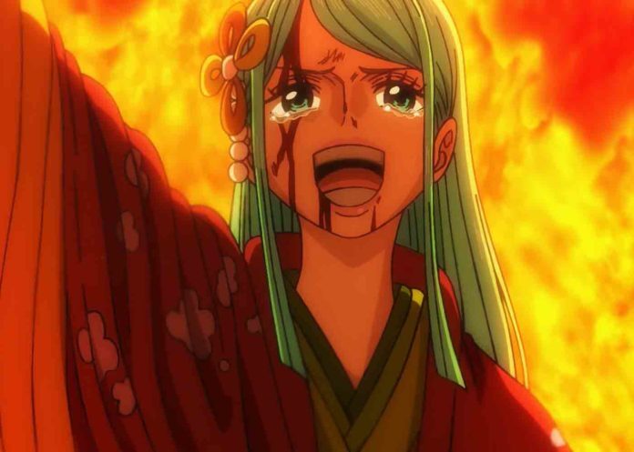past kozuki one piece