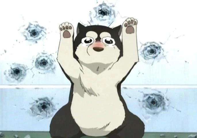 Black Hayate