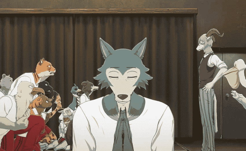 Beastars Season 2 Episode 12 Synopsis
