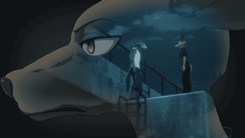 Summary of the plot