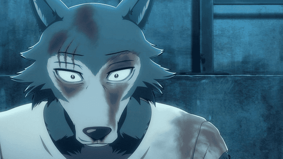 Beastars Summary of the plot