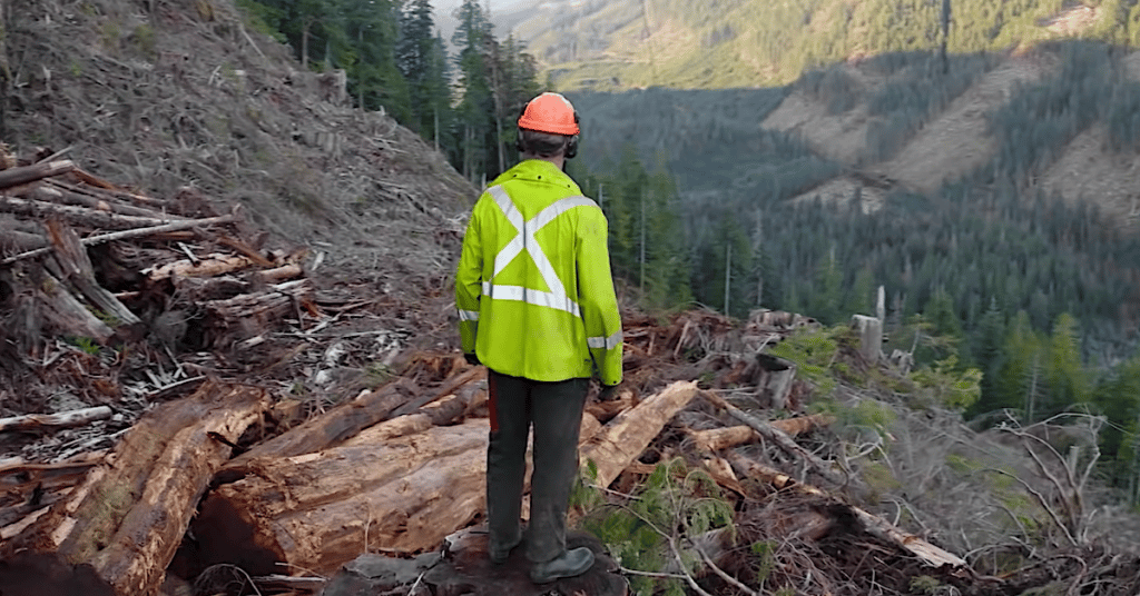 Big Timber Season 3 Preview