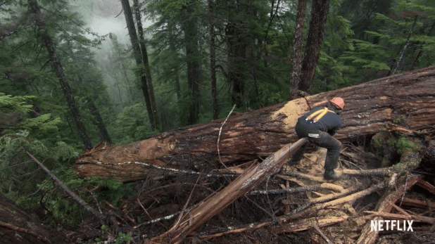 Where can you Watch Big Timber Season 3?