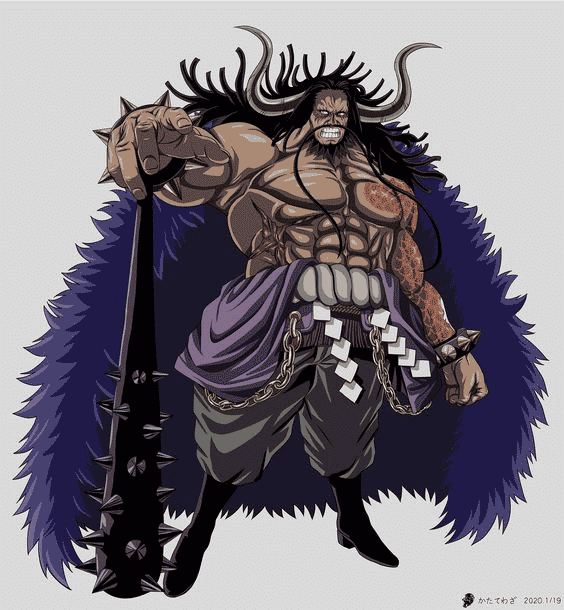 Kaido Appearance