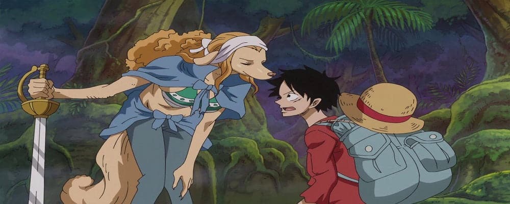 Wanda One Piece