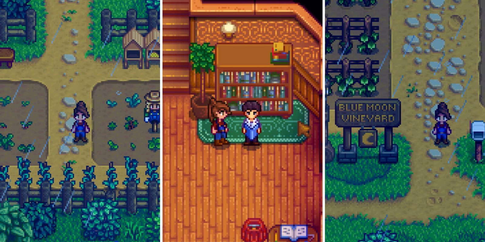 Stardew Valley Expanded Key New Areas