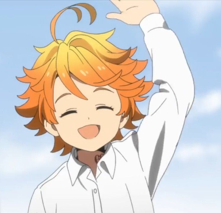 The Promised Neverland