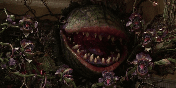 Audrey II