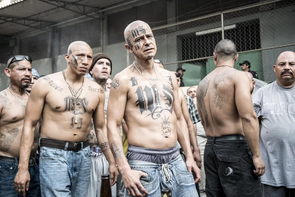 Season 2 of the inmate series is renewed ?