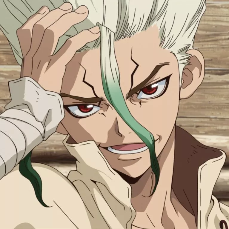 14. Senku (Dr. Stone).