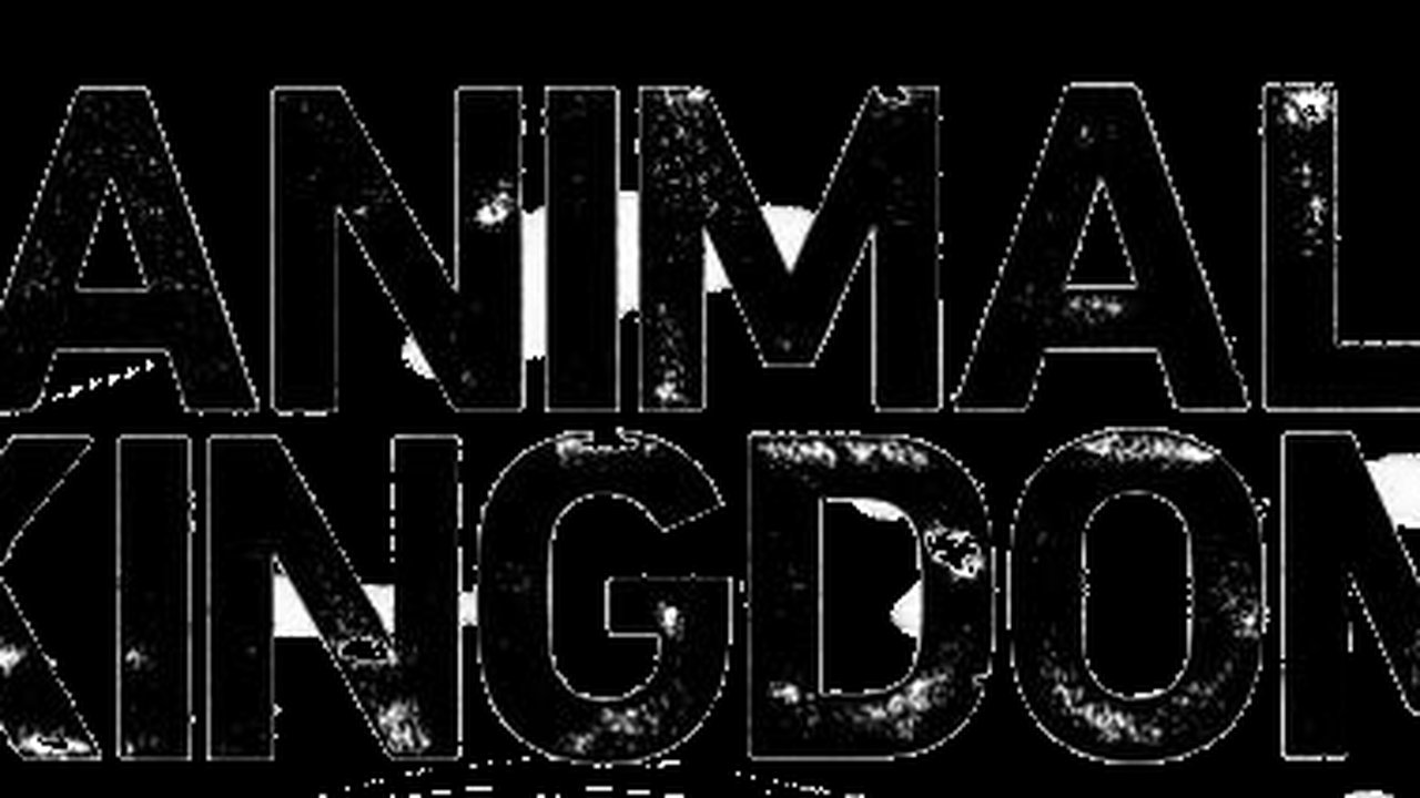 Animal Kingdom TV series cover art